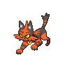 torracat